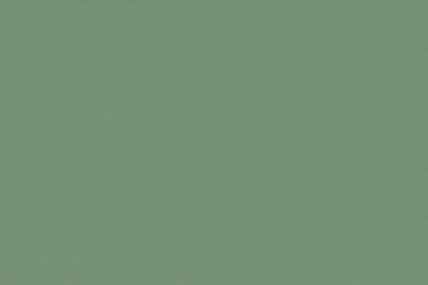 Banner image for: <h2>Automate. Scale. Focus.</h2>